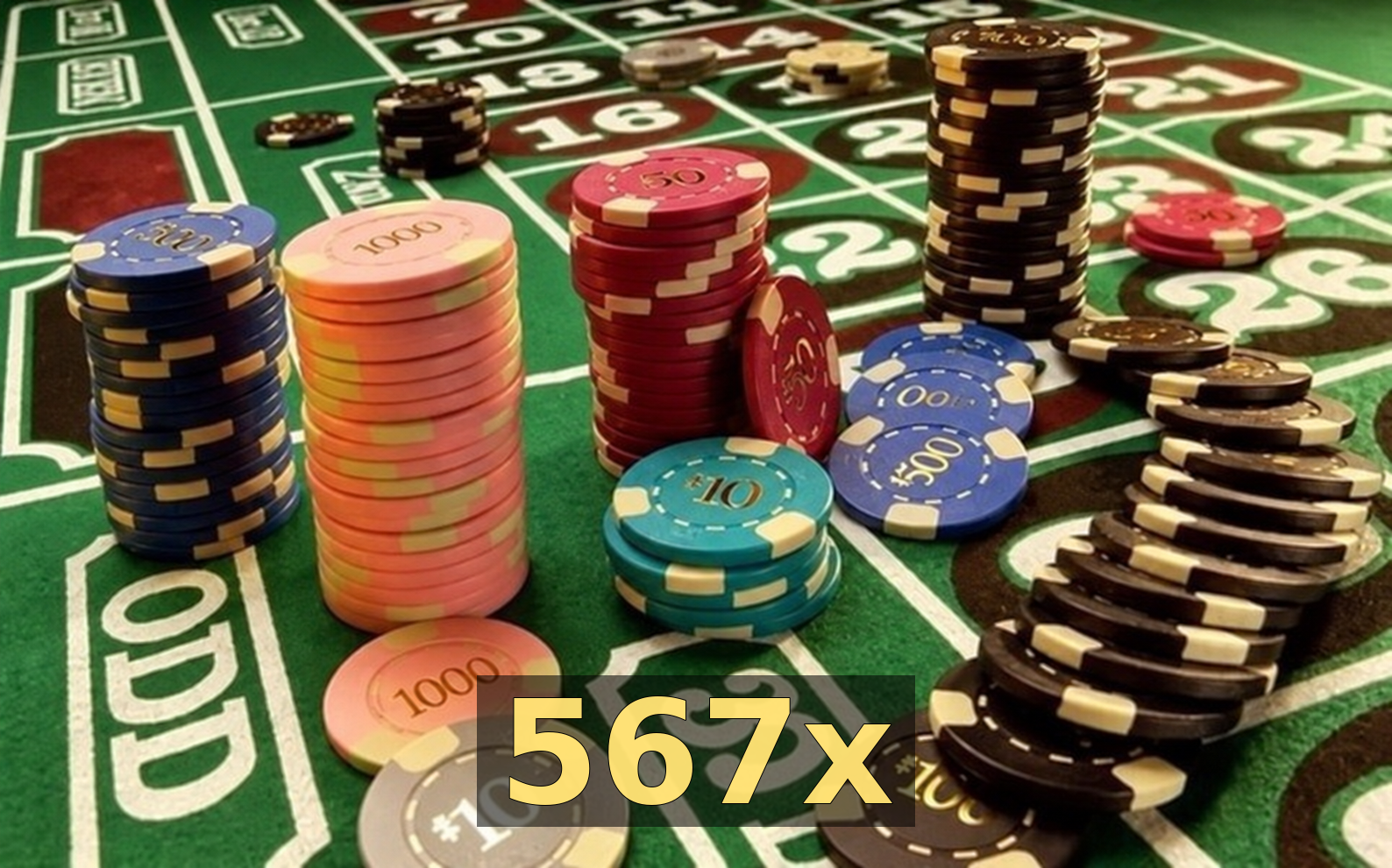 567x - Galeria 1